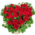 Valentine Flowers to Goa