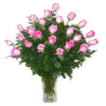 Send Flowers to Goa, Valentine Flowers to Goa