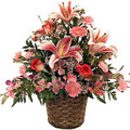 Flowers to Goa, Send Flowers to Goa