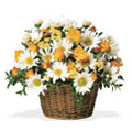 Flowers to Goa : Send Flowers to Goa