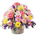 Send Flowers to Goa : Flowers to Goa