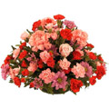 Send Flowers to Goa : Flowers to Goa