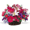 Send Flowers to Goa : Flowers to Goa