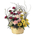 Flowers to Goa : Send Flowers to Goa