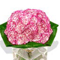 Send Flowers to Goa : Flowers to Goa