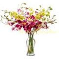 Flowers to Goa : Send Flowers to Goa