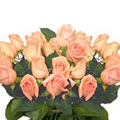 Send Flowers to Goa : Flowers to Goa