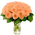 Flowers to Goa : Send Flowers to Goa