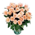 Send Flowers to Goa : Flowers to Goa