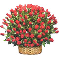 Flowers to Goa, Send Valentines Day Flowers to Goa