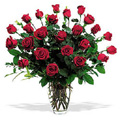 Flowers to Goa : Send Flowers to Goa