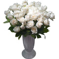 Flowers to Goa : Send Flowers to Goa