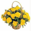 Flowers to Goa, Send Valentines Day Flowers to Goa