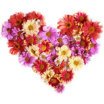 Send New Year Flowers to Goa