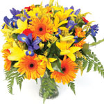 Christmas Flowers to Goa