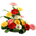 Flowers to Goa, New Year Flowers to Goa