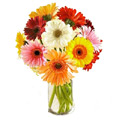 Send Flowers to Bangalore