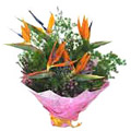 Send Flowers to Goa, Flowers to Goa