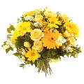 Send Flowers to Goa, Anniversary Flowers to Goa