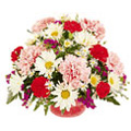 Send Flowers to Goa : Flowers to Goa