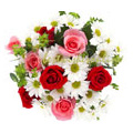 Flowers to Goa : Send Flowers to Goa