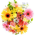 Send Flowers to Goa : Flowers to Goa