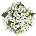 Flowers to Goa : Send Flowers to Goa