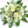 Flowers to Goa : Send Flowers to Goa