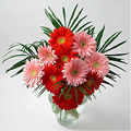 Send Flowers to Bangalore