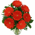 Flowers to Bangalore, Send Flowers to Bangalore