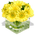 Flowers to Goa, Send Mid Night Flowers to Goa