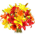 Flowers to Goa. Send Flowers to Goa