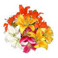 Send Flowers to Goa : Flowers to Goa