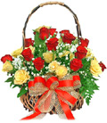 Flowers to Goa, Mothers Day Flowers to Goa